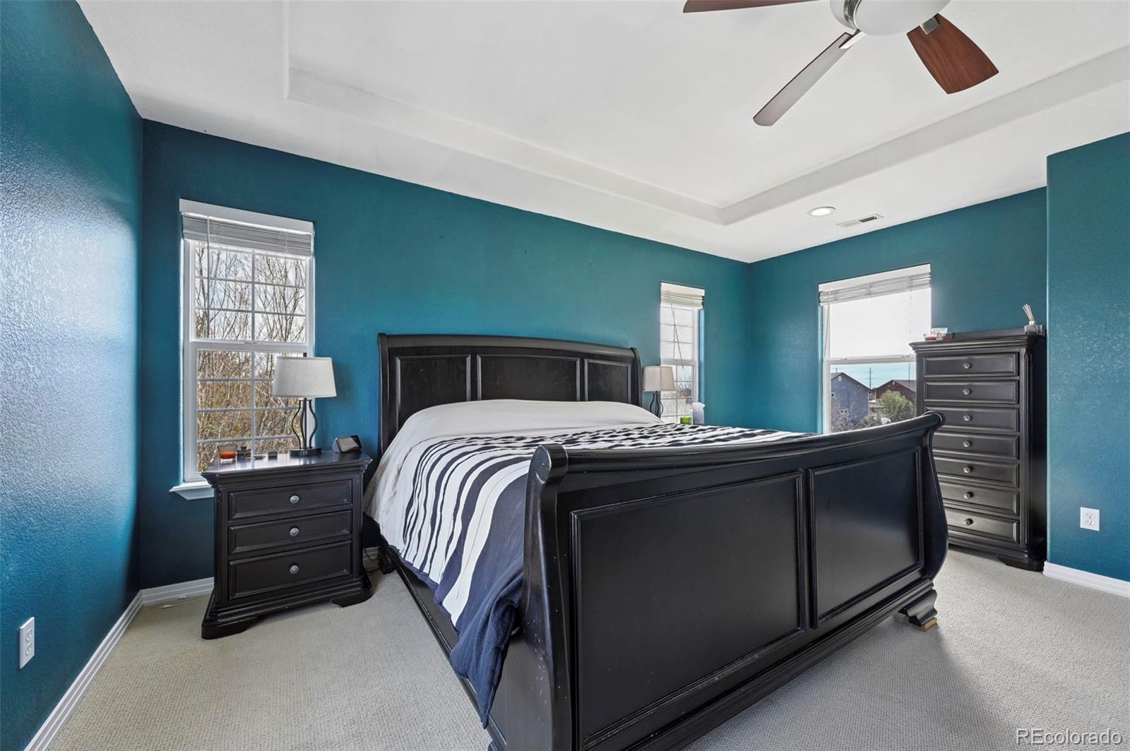 MLS Image #15 for 7334  talimena terrace,peyton, Colorado
