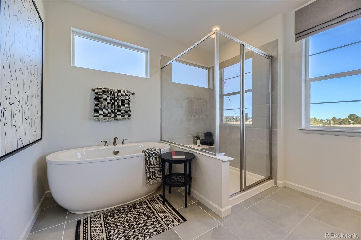 MLS Image #14 for 10710  hanging lake place,parker, Colorado