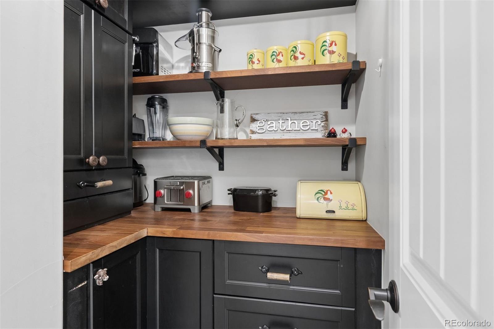 MLS Image #11 for 1204  starglow place,littleton, Colorado