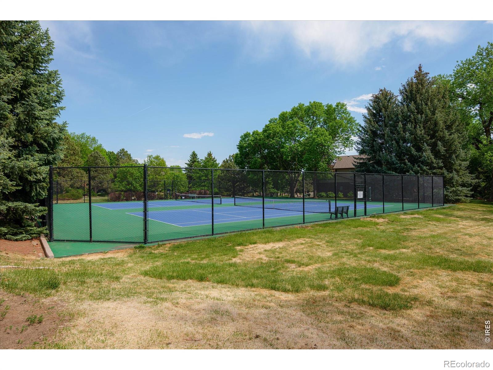 MLS Image #48 for 2029  linden lake road,fort collins, Colorado