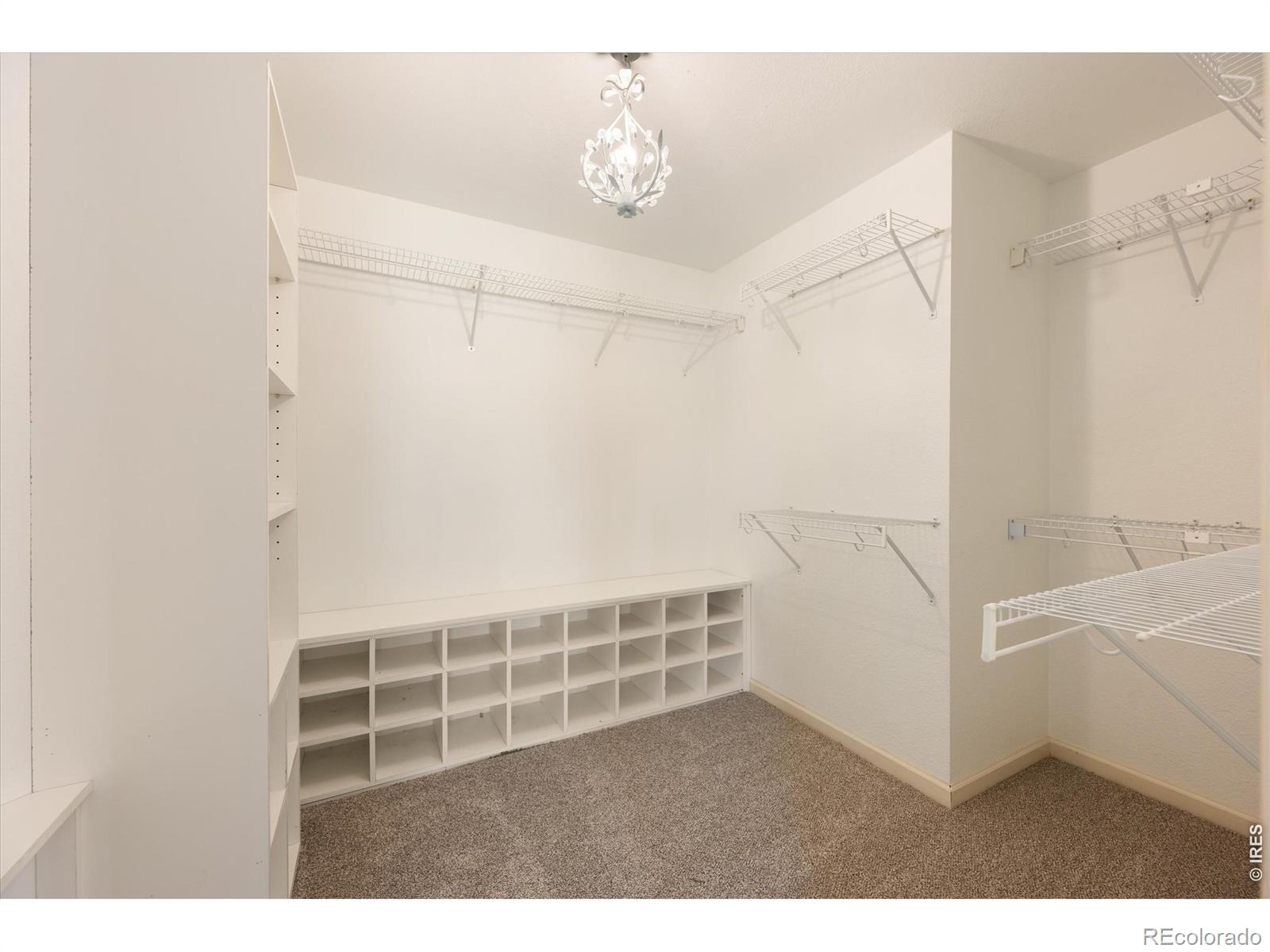 MLS Image #8 for 2029  linden lake road,fort collins, Colorado
