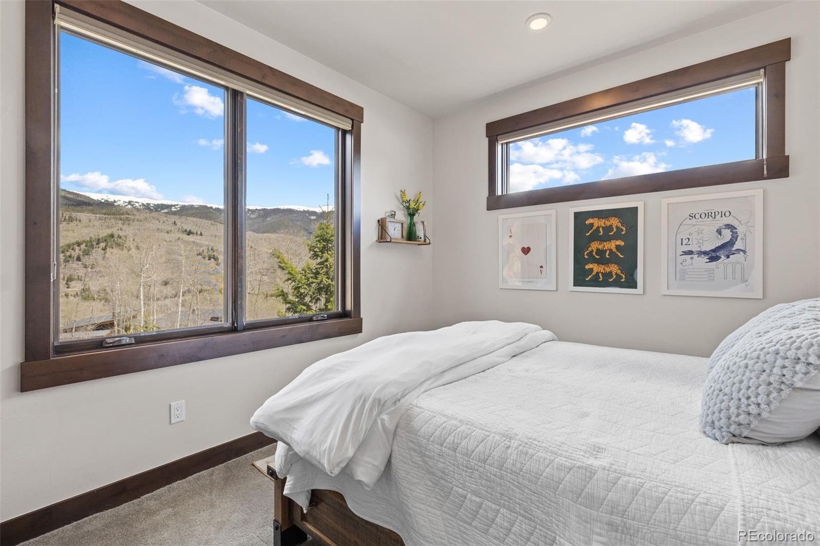 MLS Image #21 for 6  vernon way,silverthorne, Colorado