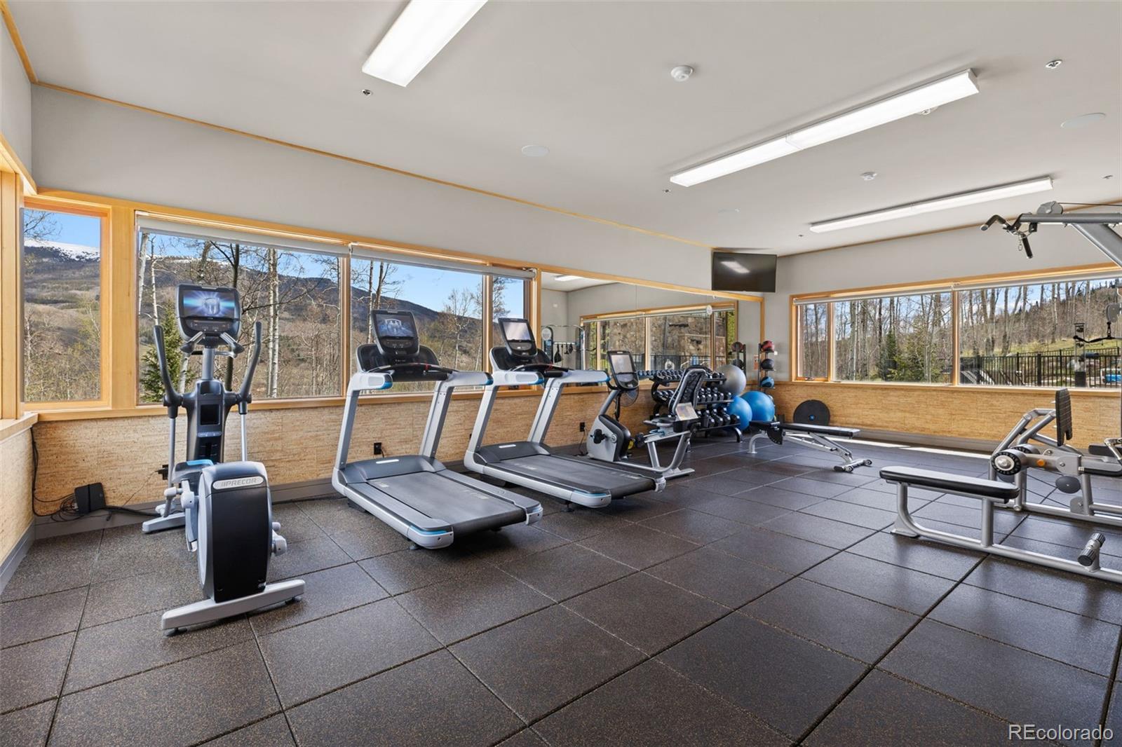 MLS Image #43 for 6  vernon way,silverthorne, Colorado