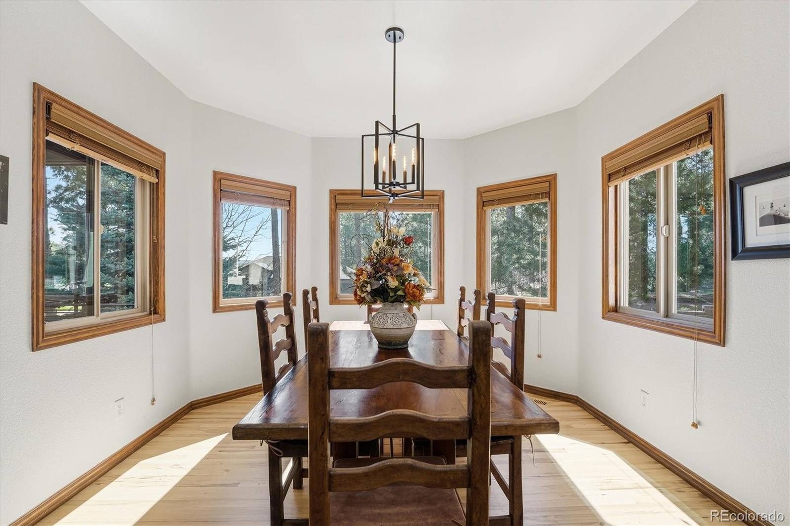 MLS Image #20 for 4680  mohawk drive,larkspur, Colorado
