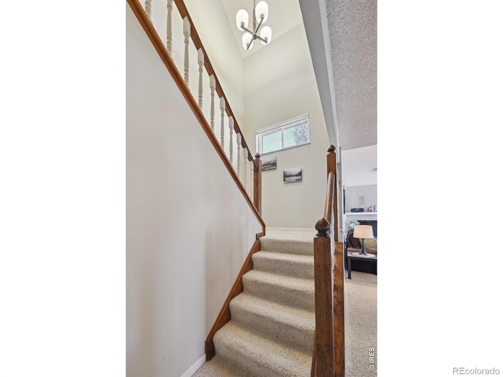 MLS Image #16 for 4475  laguna place,boulder, Colorado
