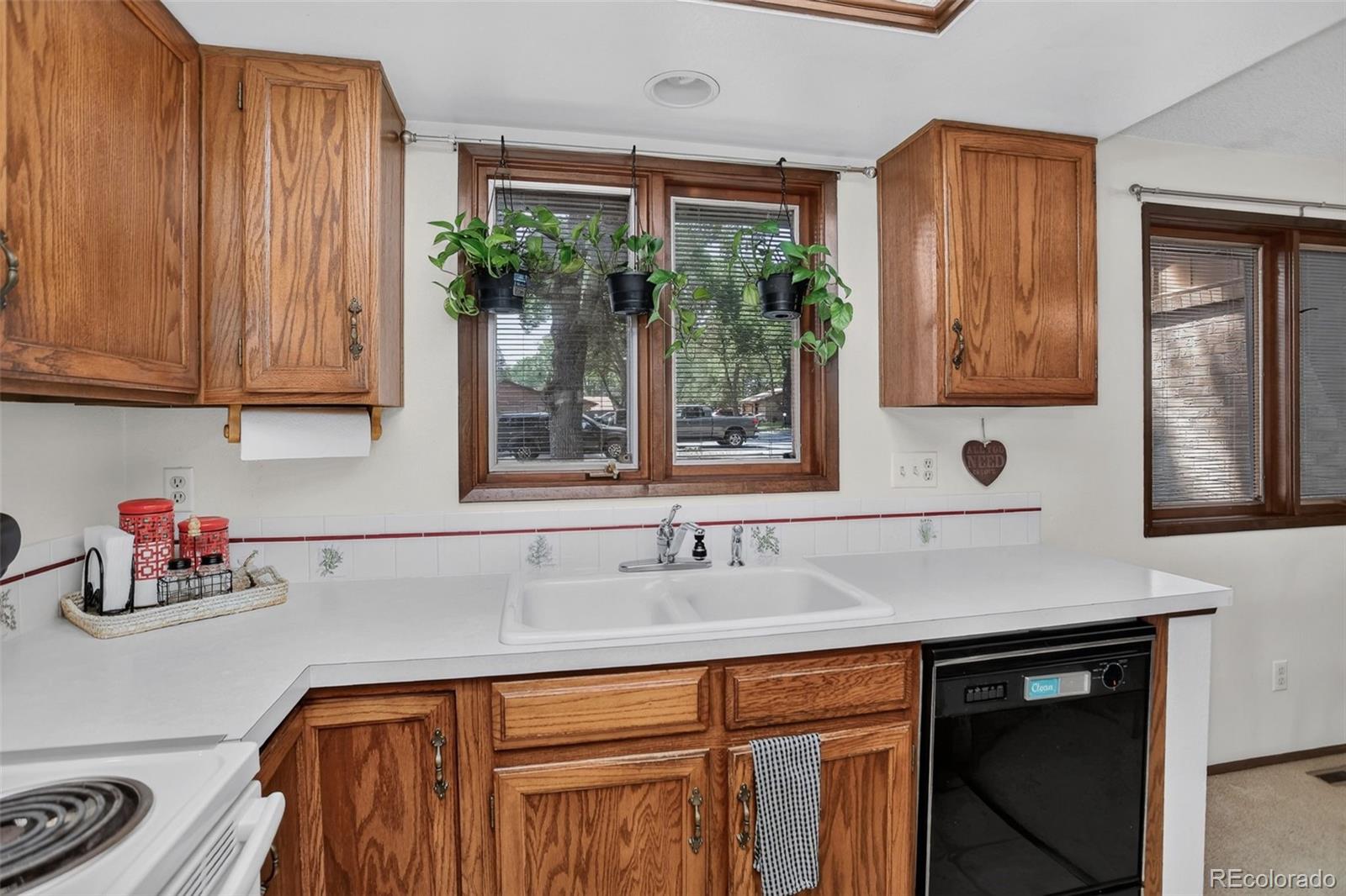 MLS Image #13 for 1100  taft avenue,loveland, Colorado