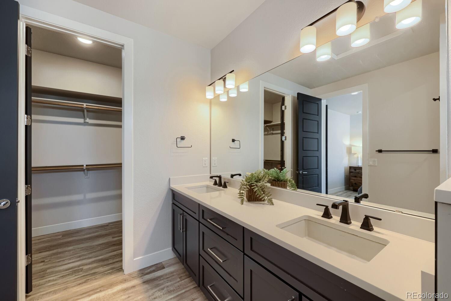 MLS Image #14 for 2571  palau way,castle rock, Colorado