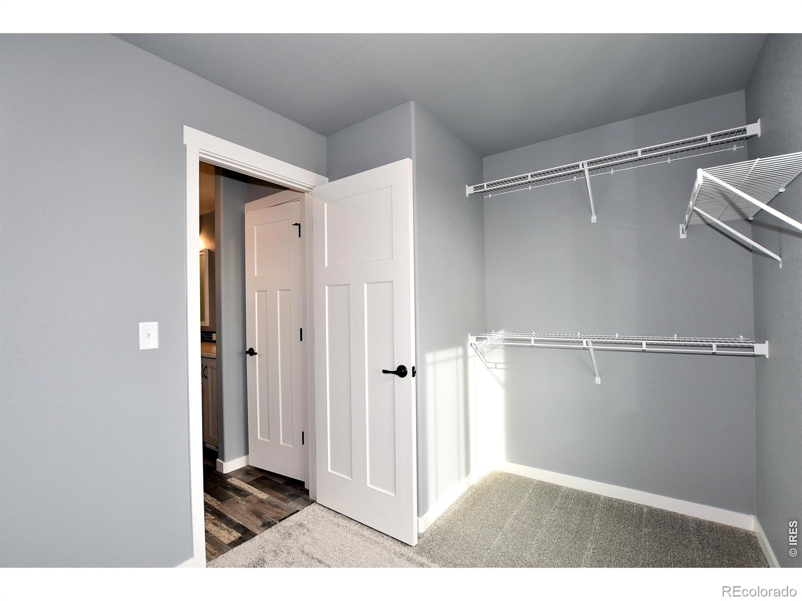 MLS Image #32 for 1173  crown sparrow street,johnstown, Colorado