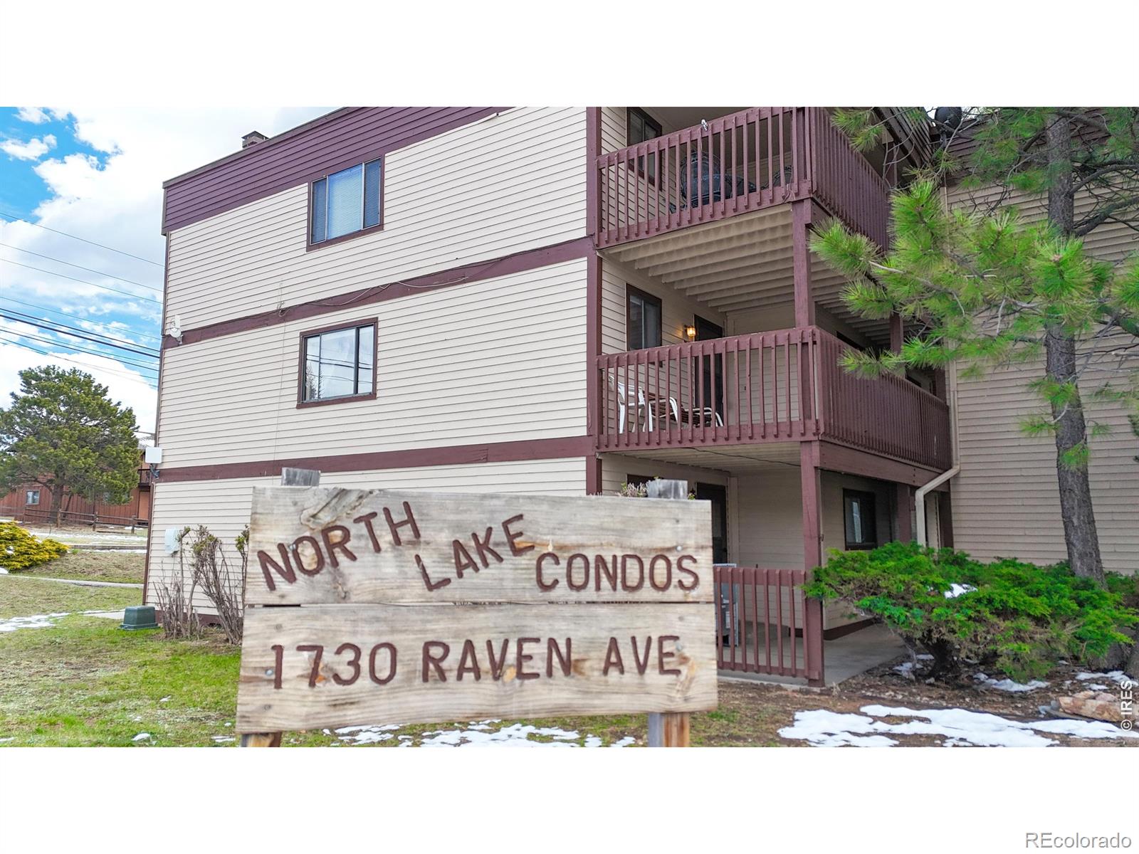 MLS Image #10 for 1730  raven avenue,estes park, Colorado