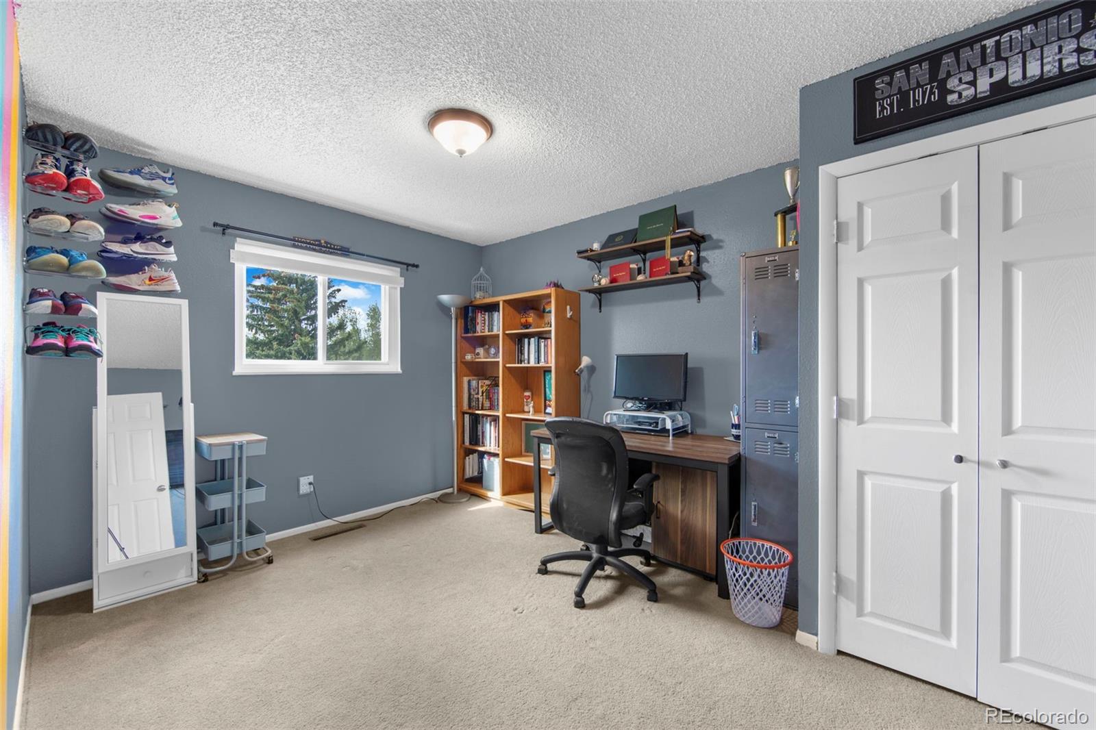 MLS Image #17 for 3005  vickers drive,colorado springs, Colorado