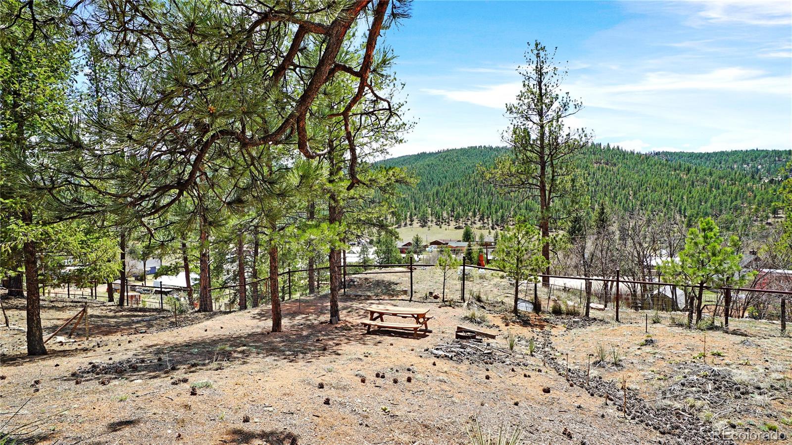 MLS Image #14 for 28368  cedar avenue,pine, Colorado