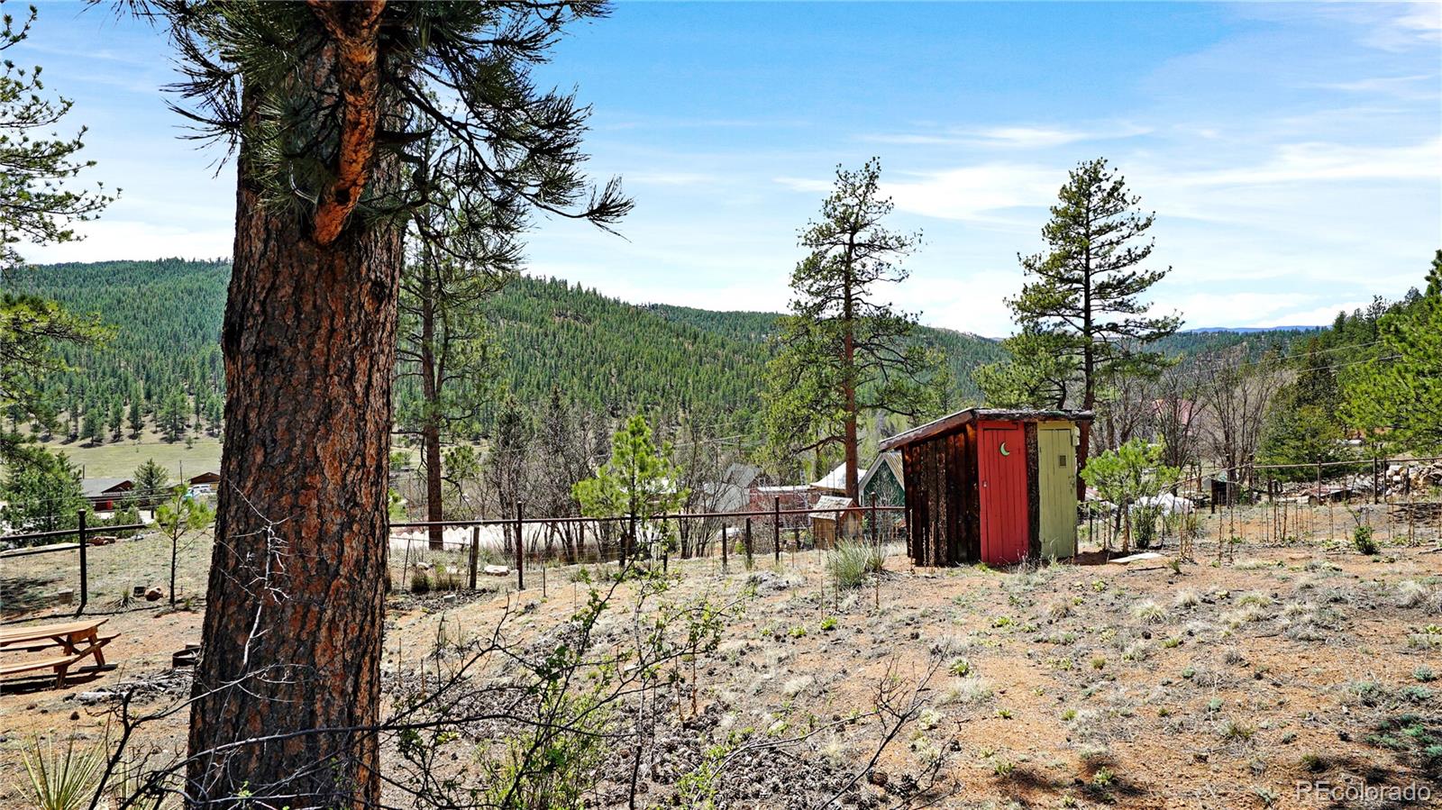 MLS Image #15 for 28368  cedar avenue,pine, Colorado