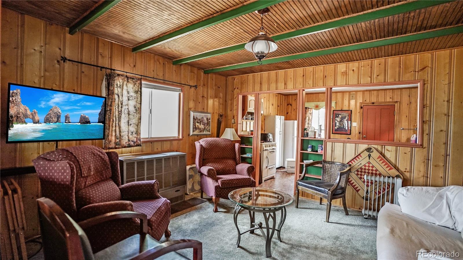 MLS Image #4 for 28368  cedar avenue,pine, Colorado