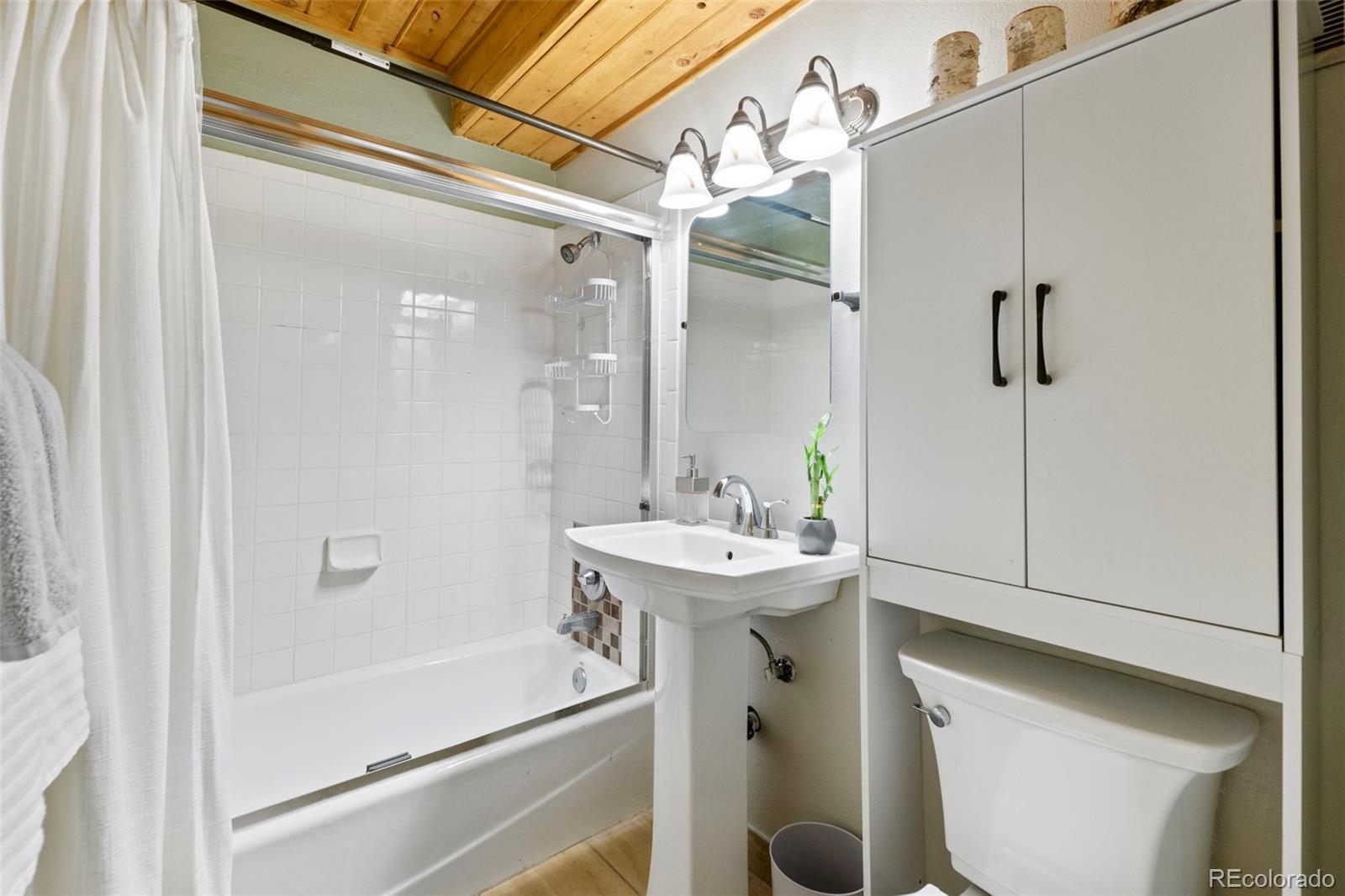 MLS Image #21 for 43  maverick way,silverthorne, Colorado
