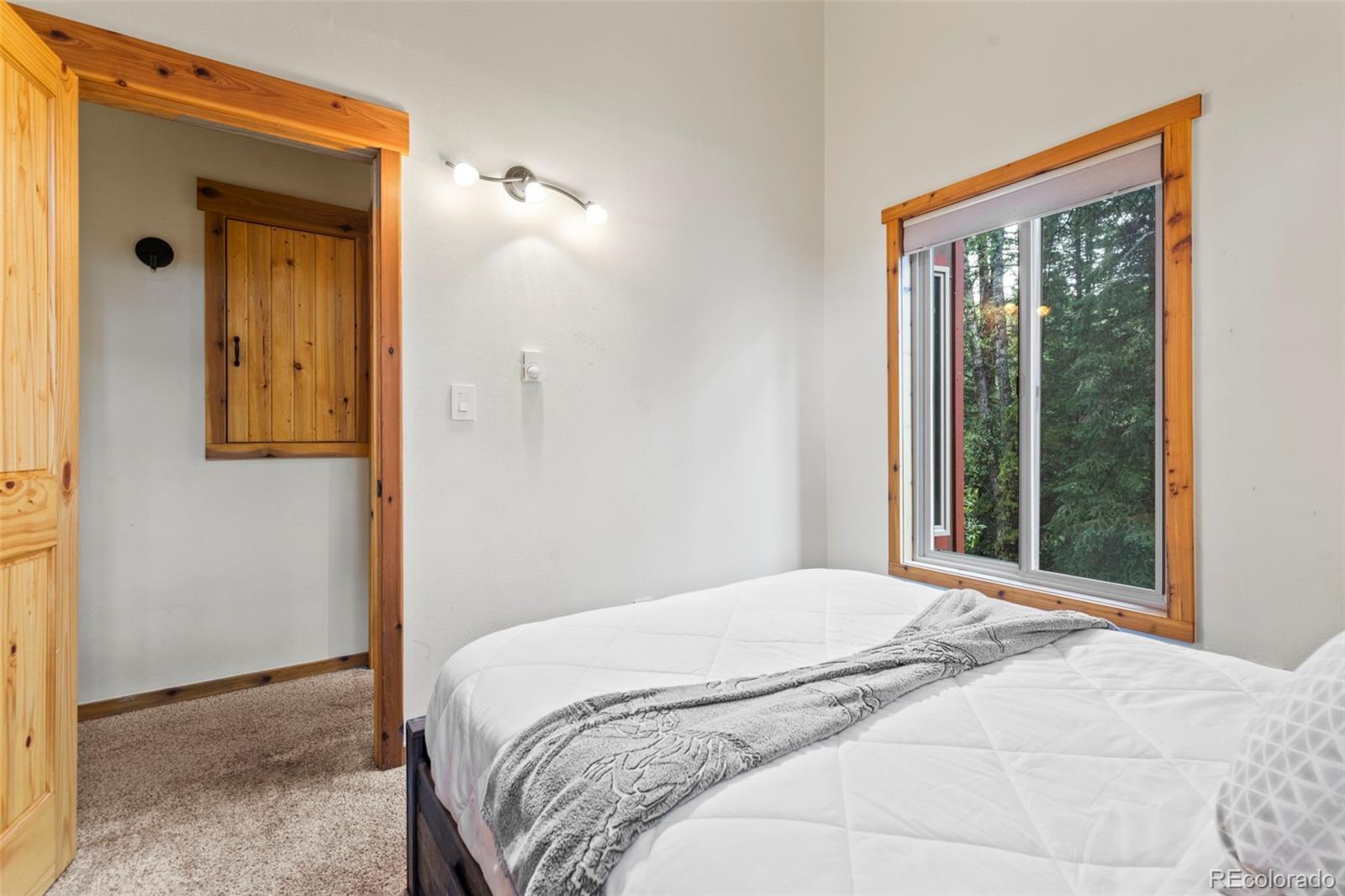 MLS Image #34 for 43  maverick way,silverthorne, Colorado