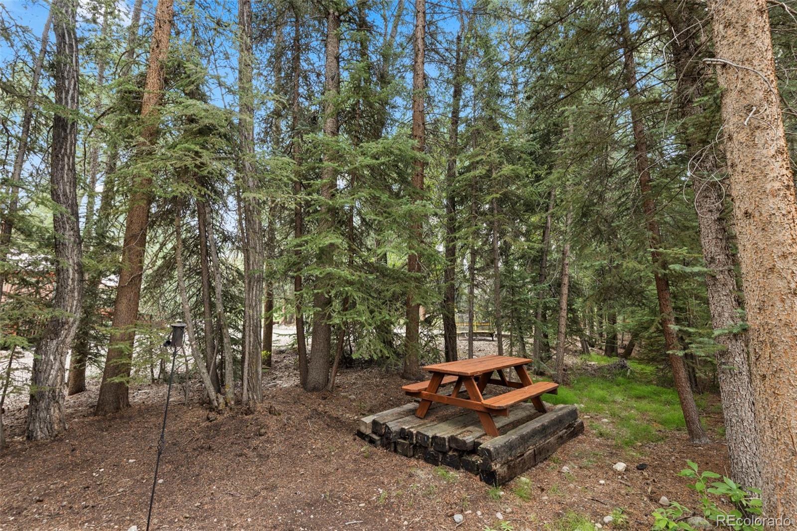 MLS Image #41 for 43  maverick way,silverthorne, Colorado