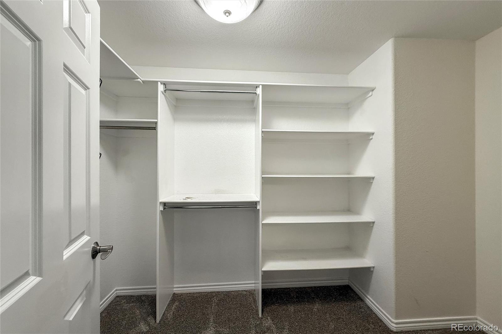 MLS Image #40 for 1432  turin drive,longmont, Colorado
