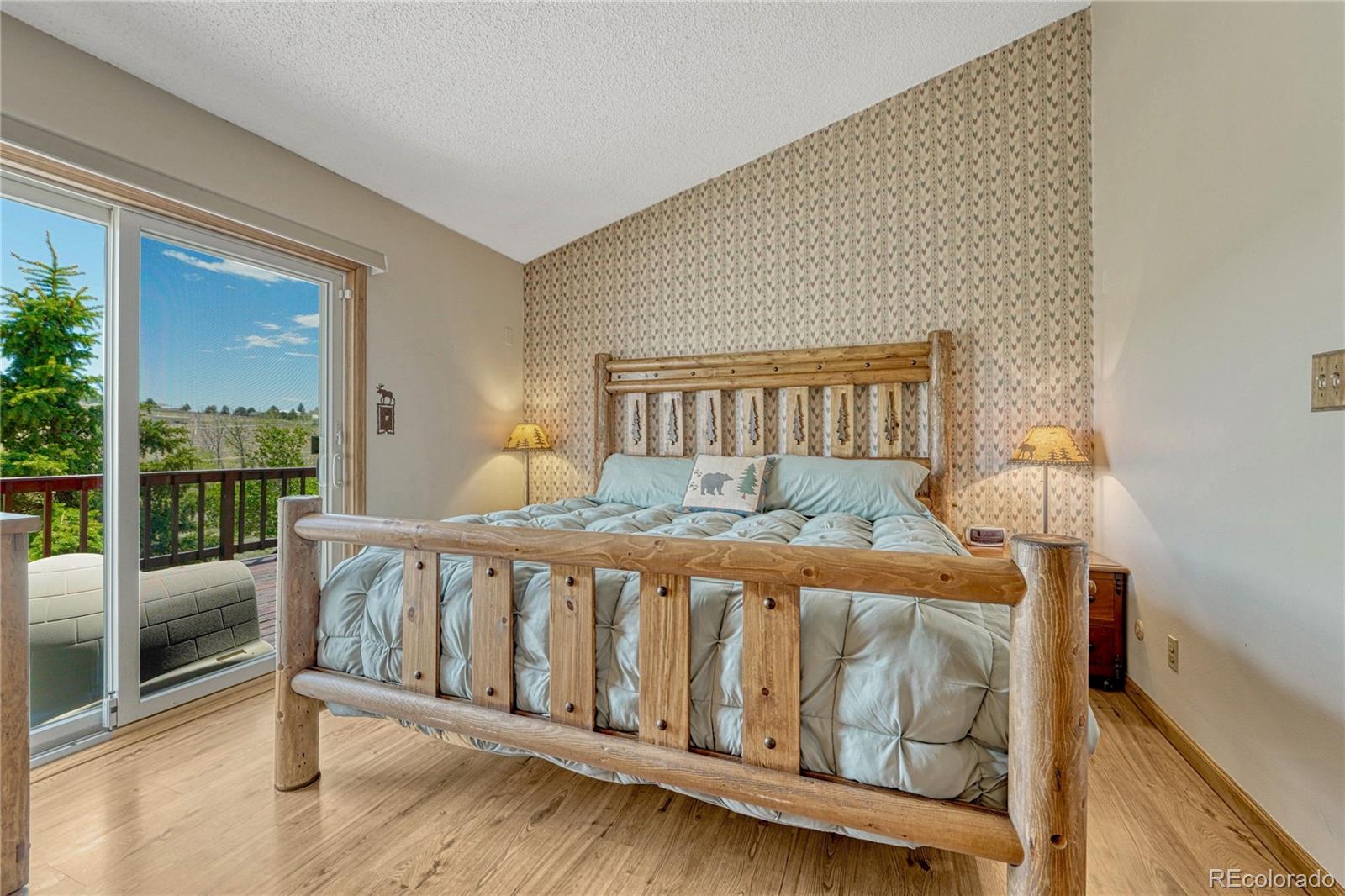 MLS Image #12 for 1884  elizabeth drive,parker, Colorado