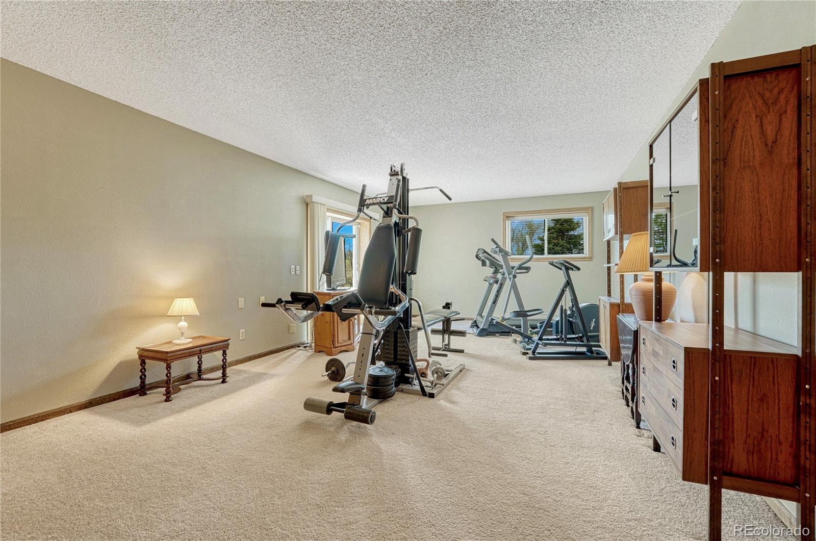 MLS Image #18 for 1884  elizabeth drive,parker, Colorado
