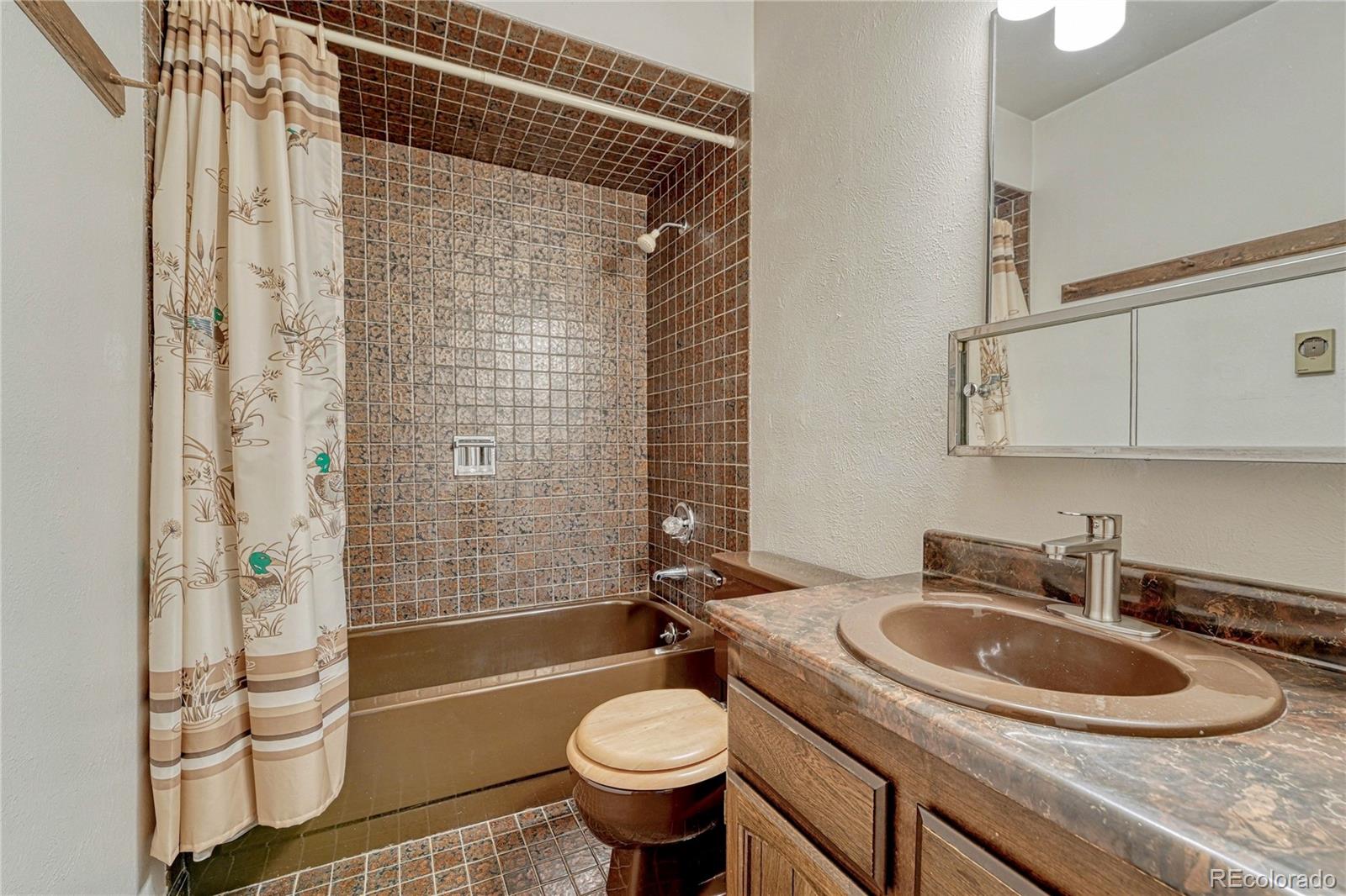 MLS Image #19 for 1884  elizabeth drive,parker, Colorado