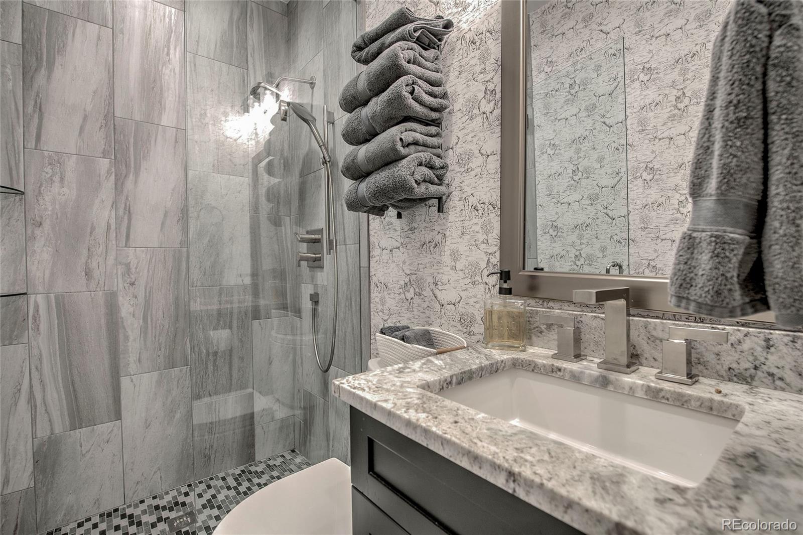 MLS Image #33 for 123  willow place,vail, Colorado