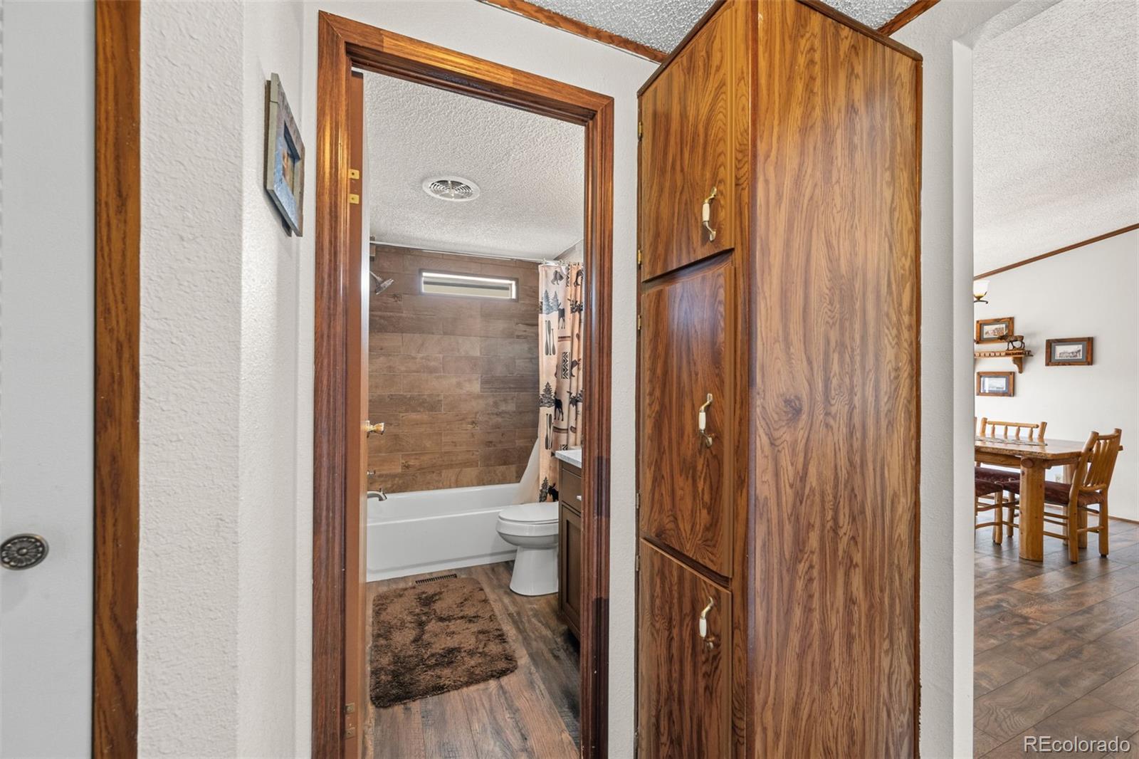 MLS Image #32 for 75  sixth street,como, Colorado