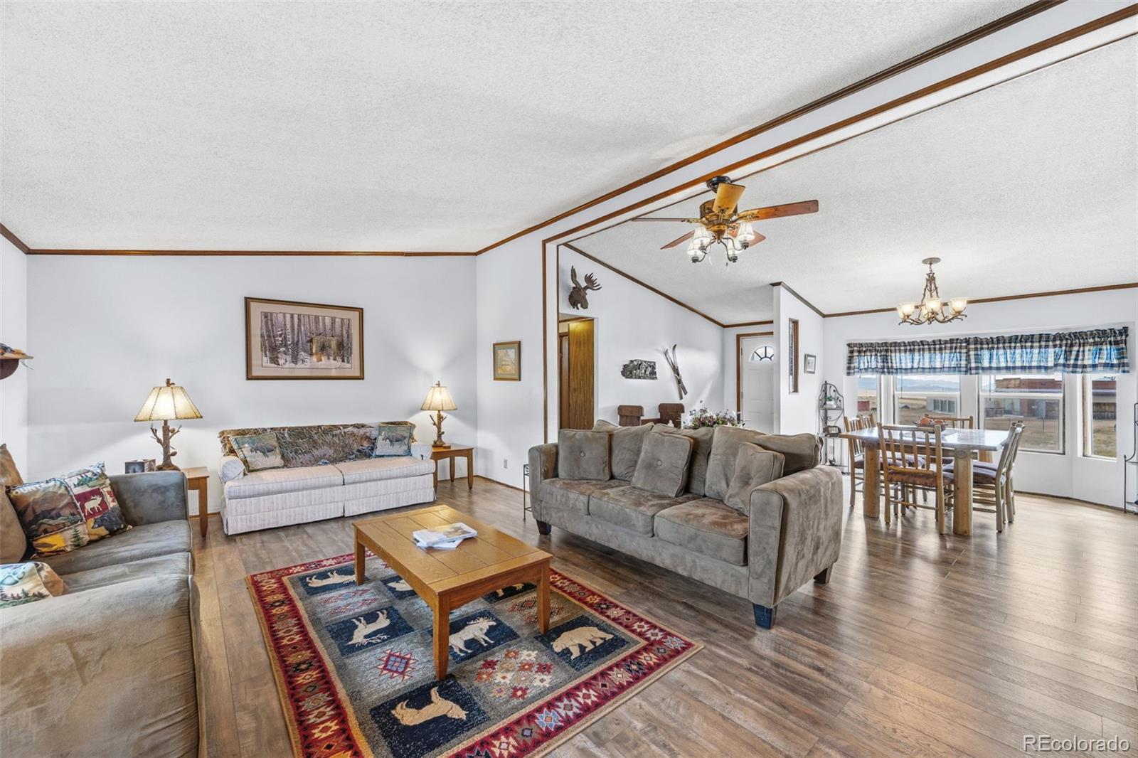 MLS Image #8 for 75  sixth street,como, Colorado