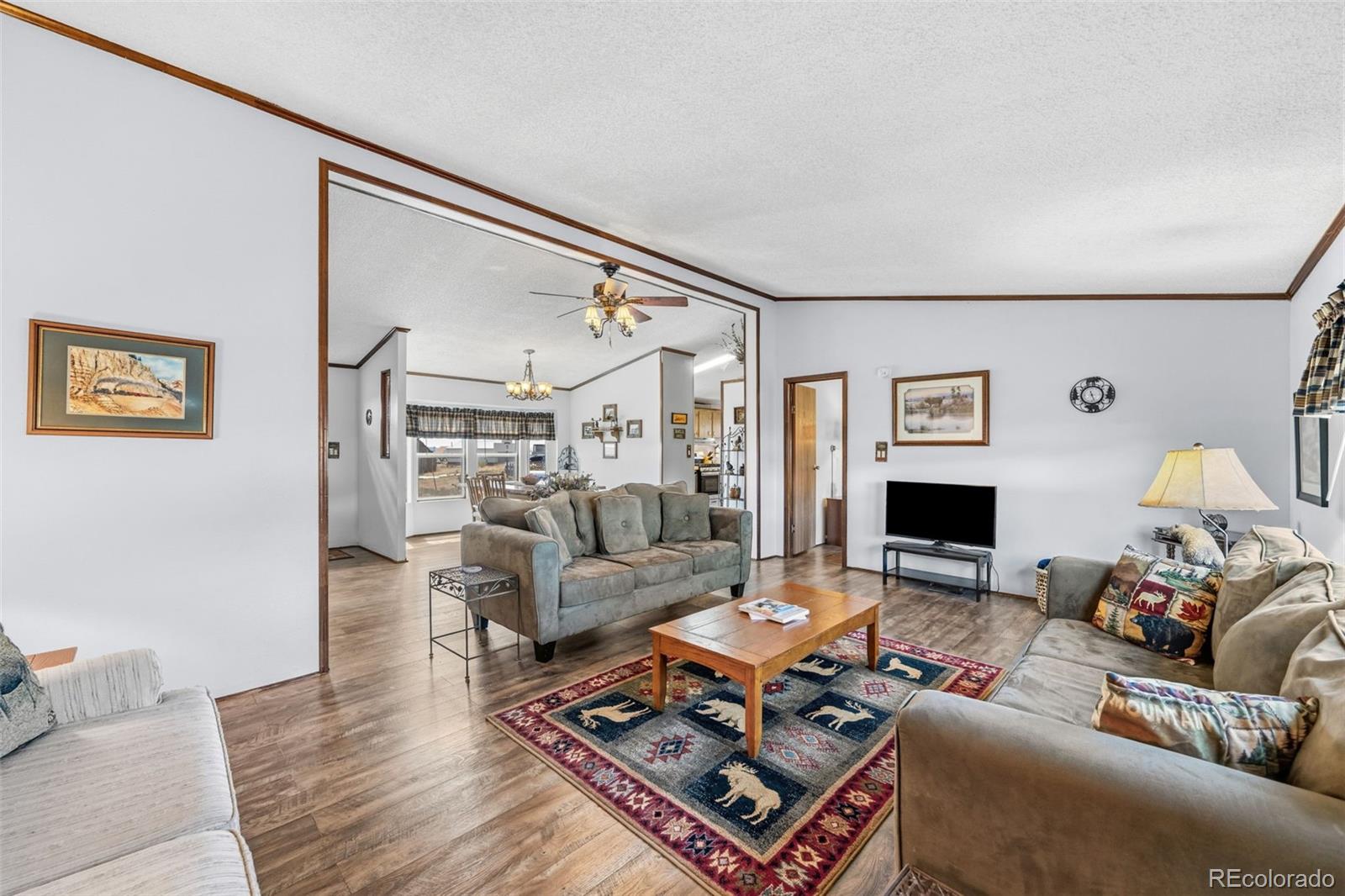 MLS Image #9 for 75  sixth street,como, Colorado