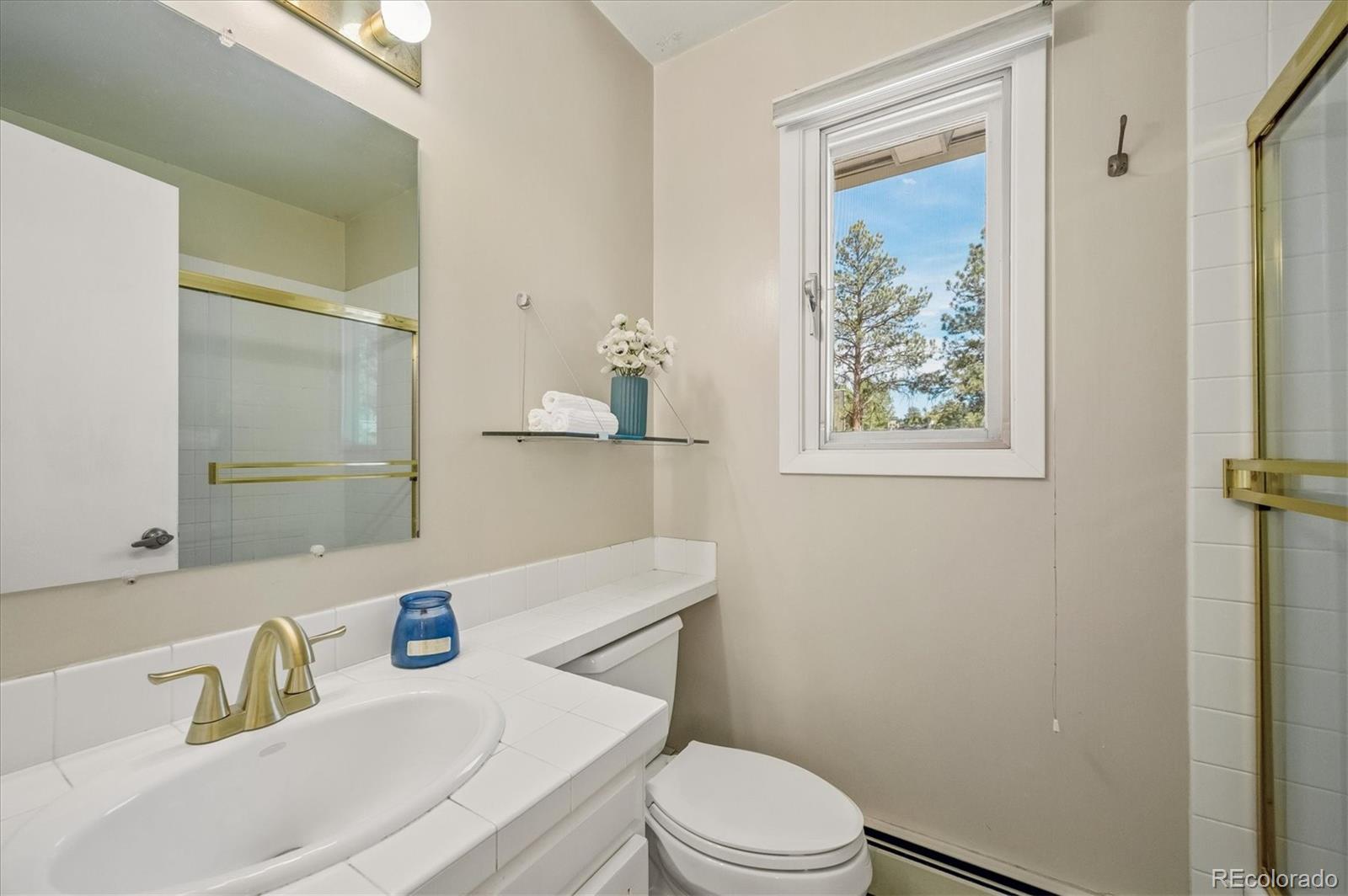 MLS Image #14 for 31636  canyon circle,evergreen, Colorado