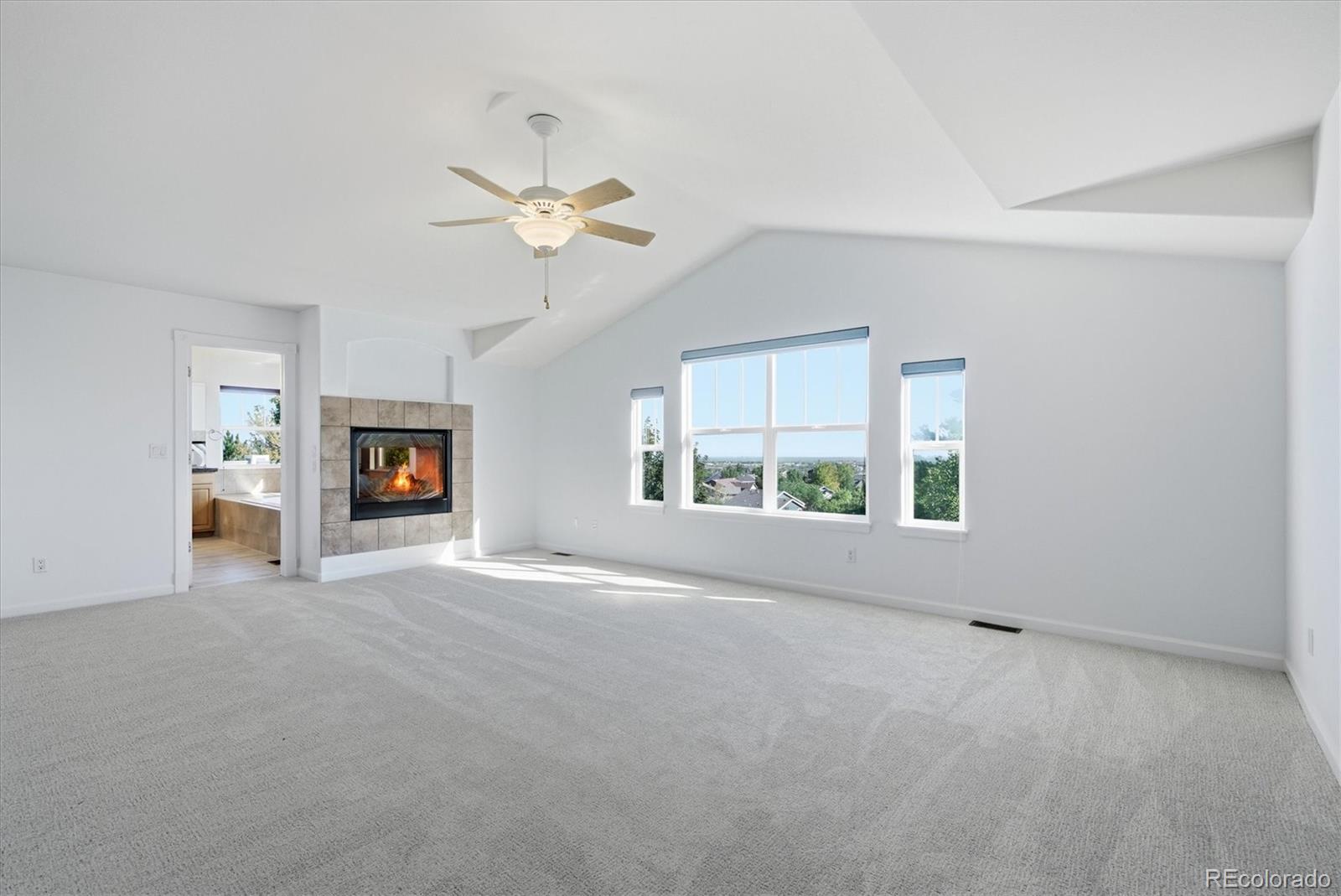 MLS Image #18 for 2993  danbury avenue,highlands ranch, Colorado