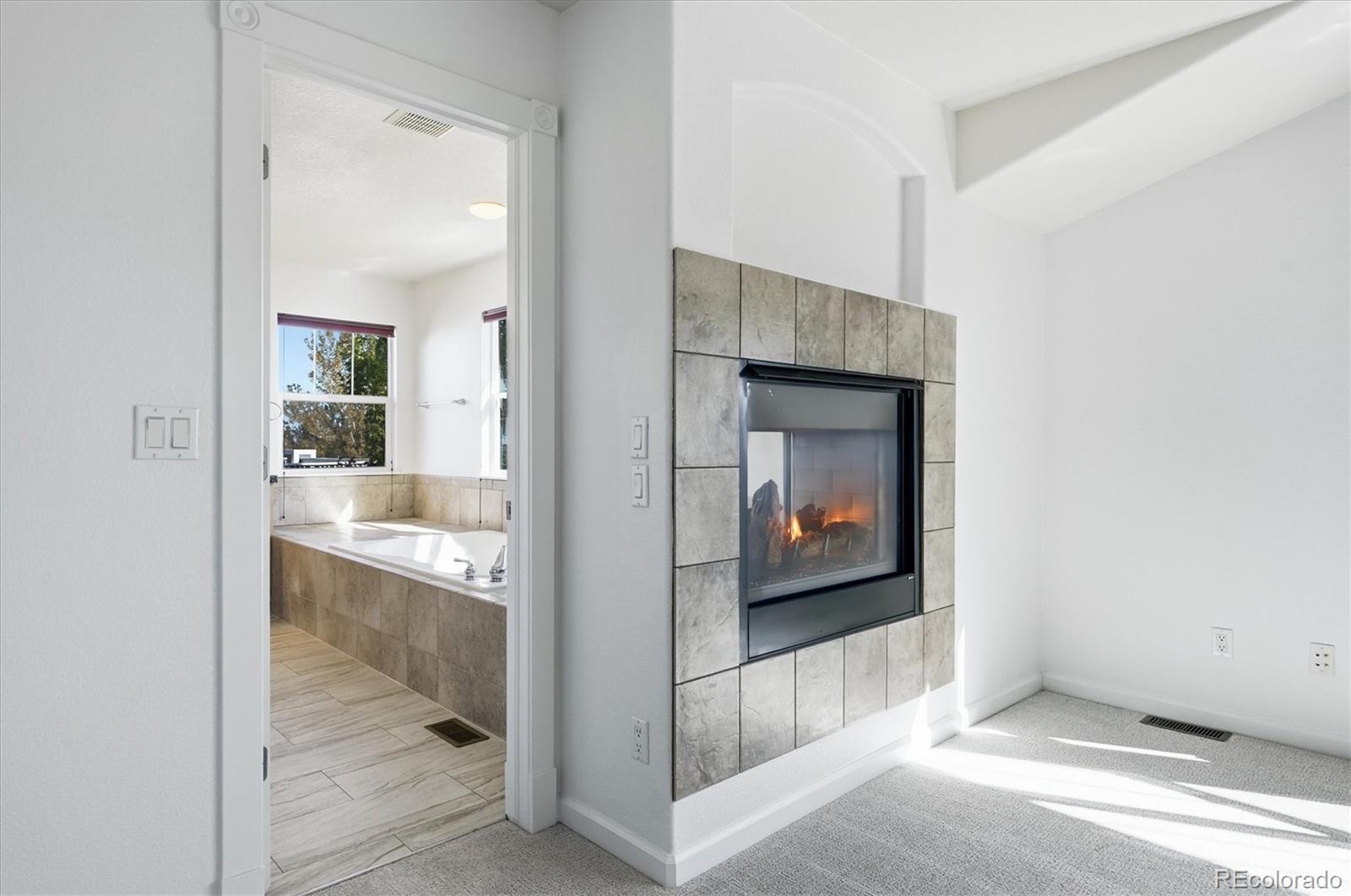 MLS Image #21 for 2993  danbury avenue,highlands ranch, Colorado