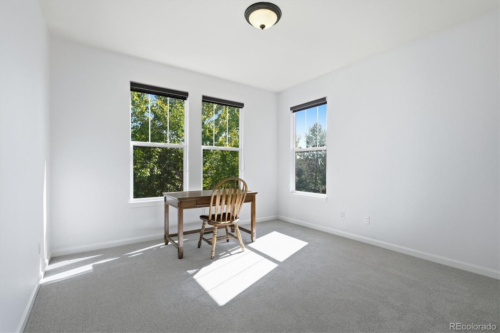 MLS Image #5 for 2993  danbury avenue,highlands ranch, Colorado