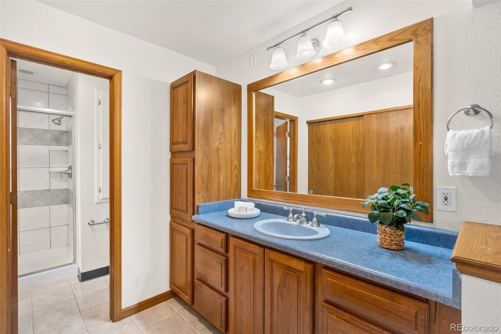 MLS Image #17 for 6470 s locust way,centennial, Colorado