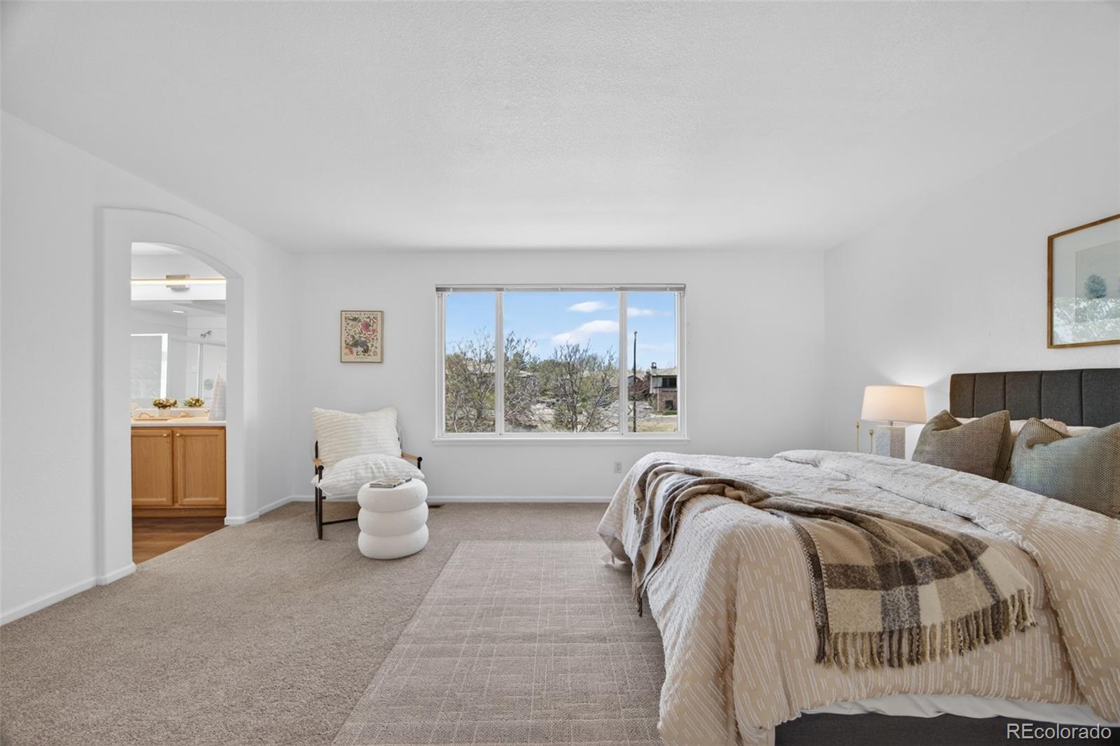 MLS Image #28 for 9767  dampler way,highlands ranch, Colorado