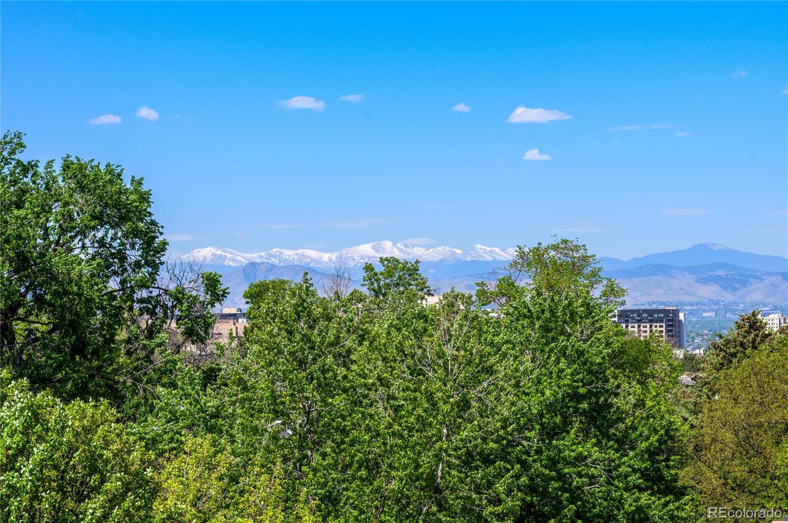 MLS Image #17 for 1200 n humboldt street,denver, Colorado