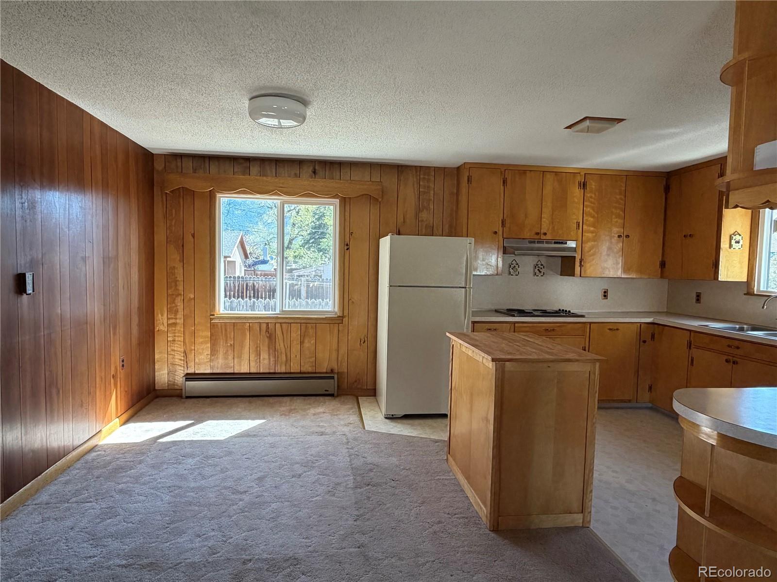MLS Image #16 for 115  hill street,buena vista, Colorado