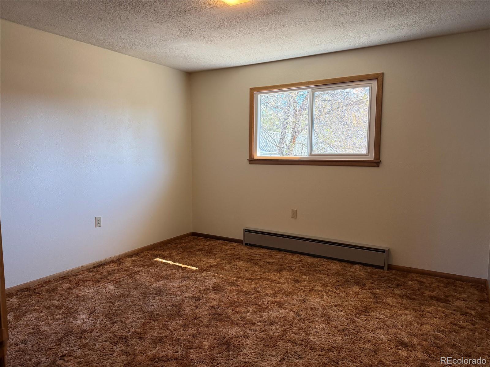 MLS Image #20 for 115  hill street,buena vista, Colorado