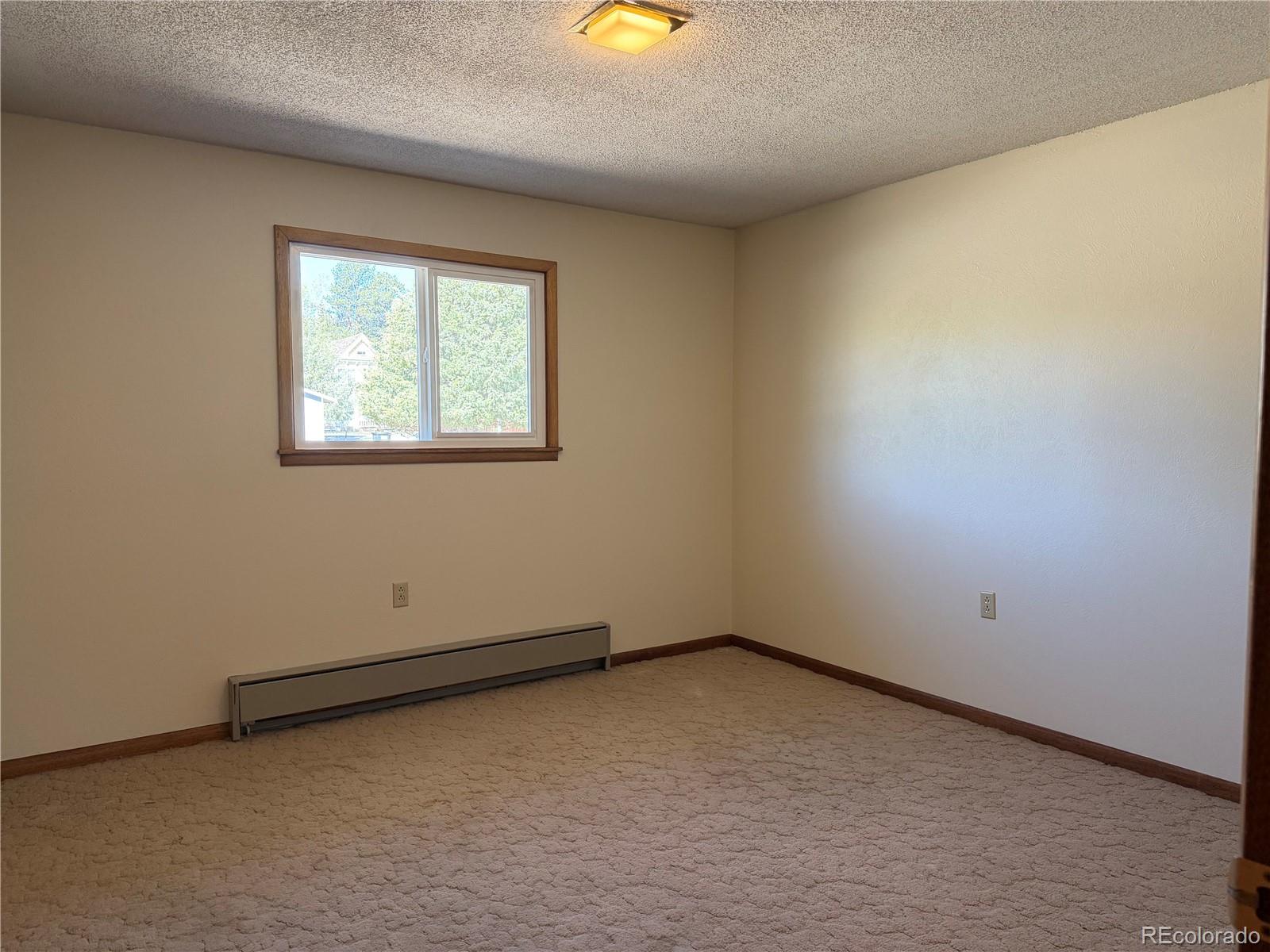 MLS Image #22 for 115  hill street,buena vista, Colorado