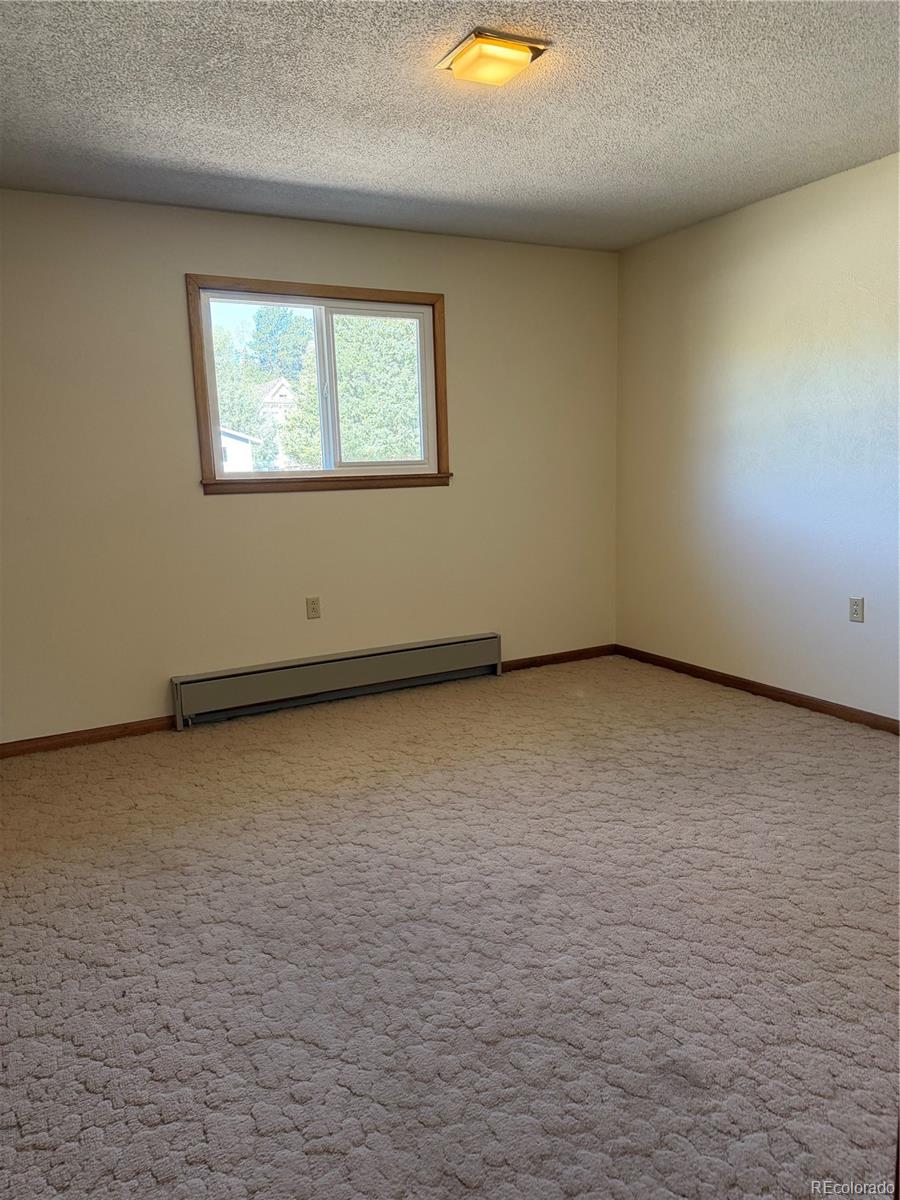 MLS Image #23 for 115  hill street,buena vista, Colorado