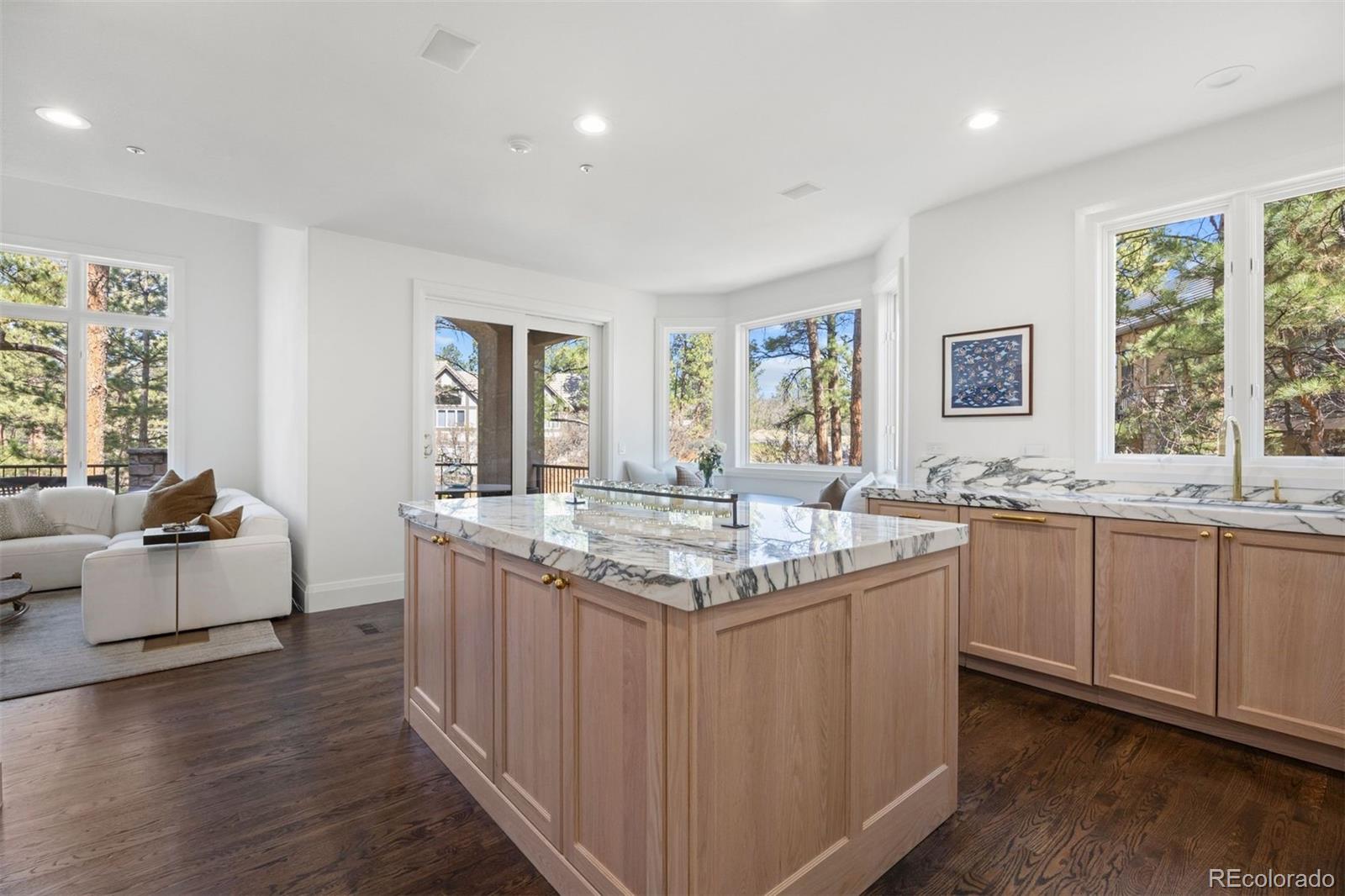 MLS Image #12 for 4511  silver cliff court,castle rock, Colorado