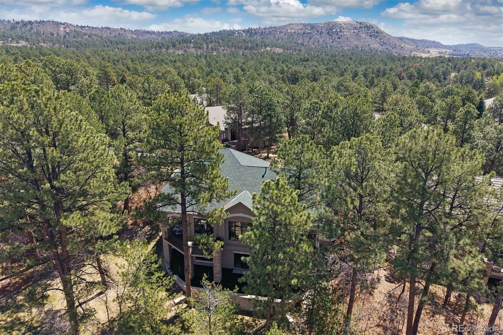 MLS Image #2 for 4511  silver cliff court,castle rock, Colorado
