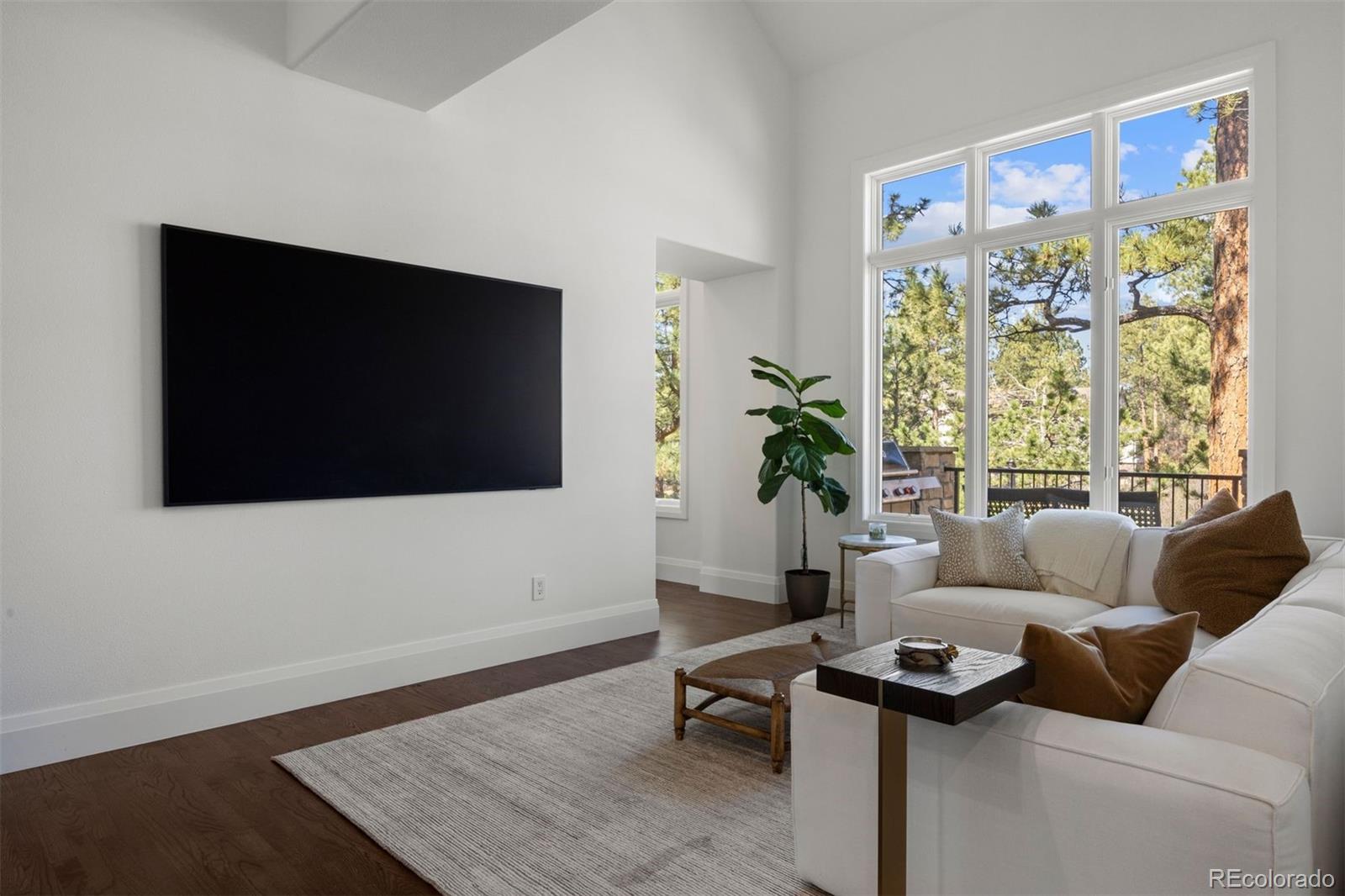 MLS Image #20 for 4511  silver cliff court,castle rock, Colorado