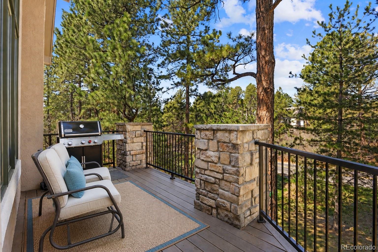 MLS Image #21 for 4511  silver cliff court,castle rock, Colorado
