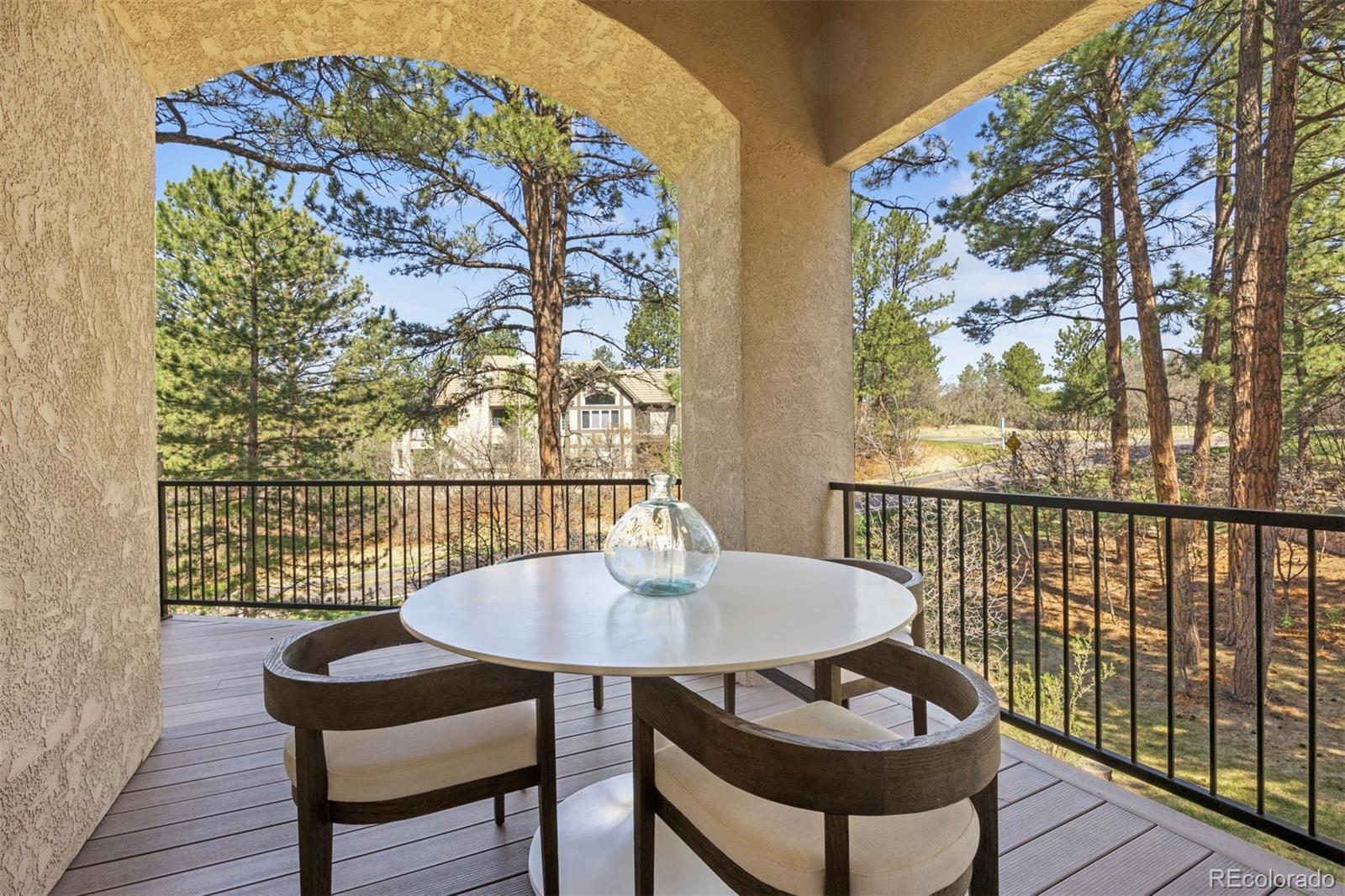 MLS Image #22 for 4511  silver cliff court,castle rock, Colorado