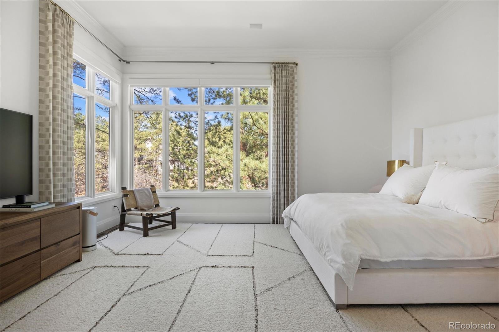 MLS Image #27 for 4511  silver cliff court,castle rock, Colorado