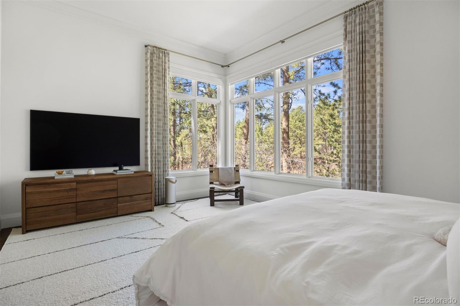 MLS Image #29 for 4511  silver cliff court,castle rock, Colorado