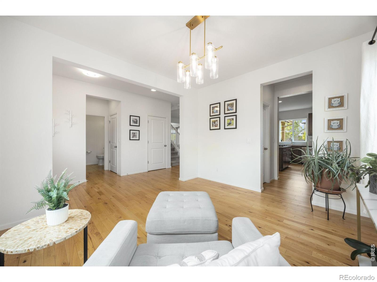 MLS Image #20 for 5752  northern lights drive,fort collins, Colorado