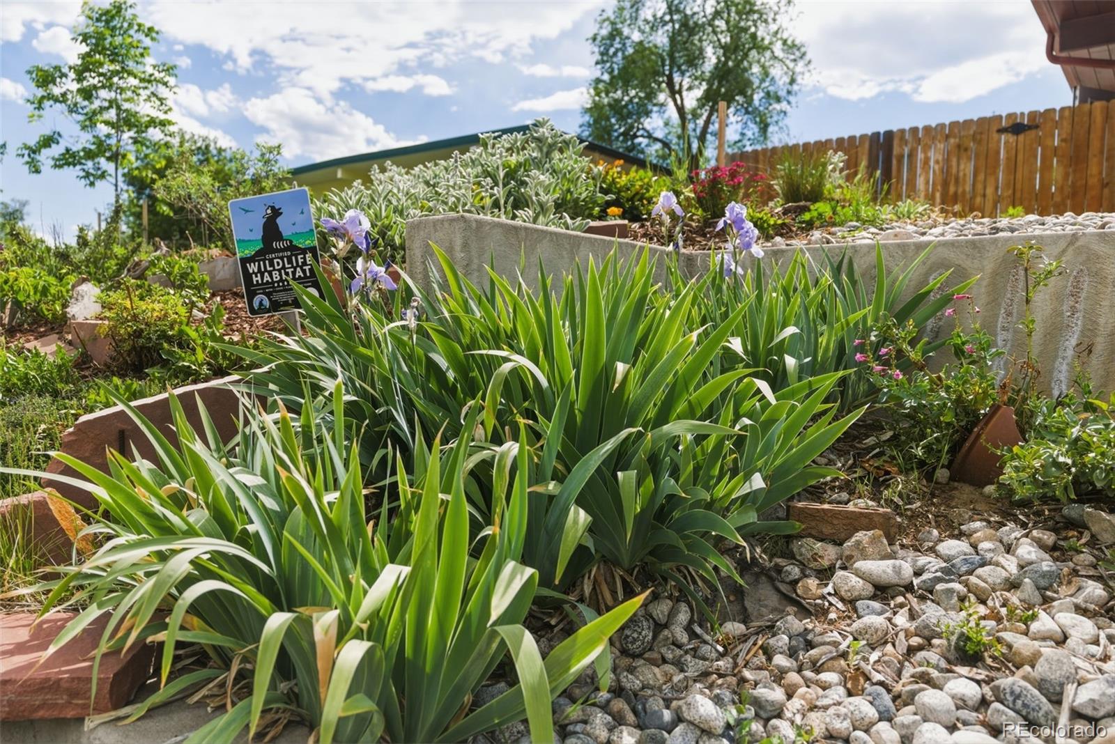 MLS Image #35 for 1215  rosemary street,denver, Colorado