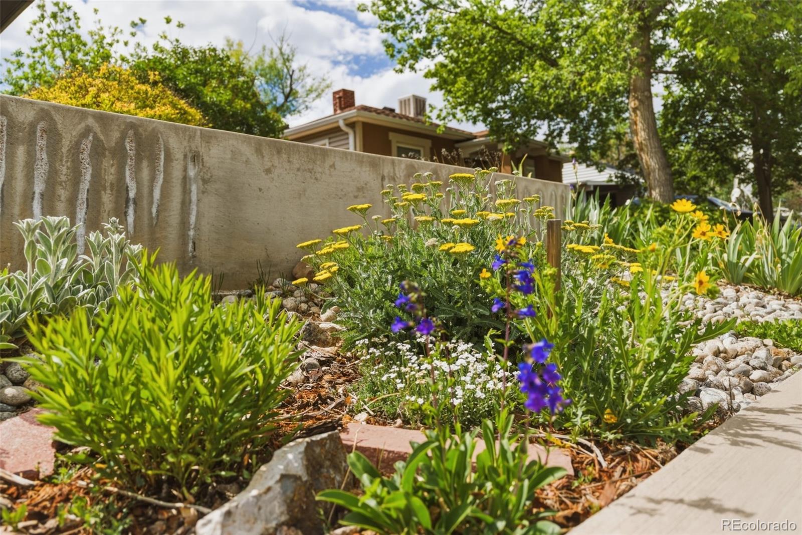 MLS Image #37 for 1215  rosemary street,denver, Colorado