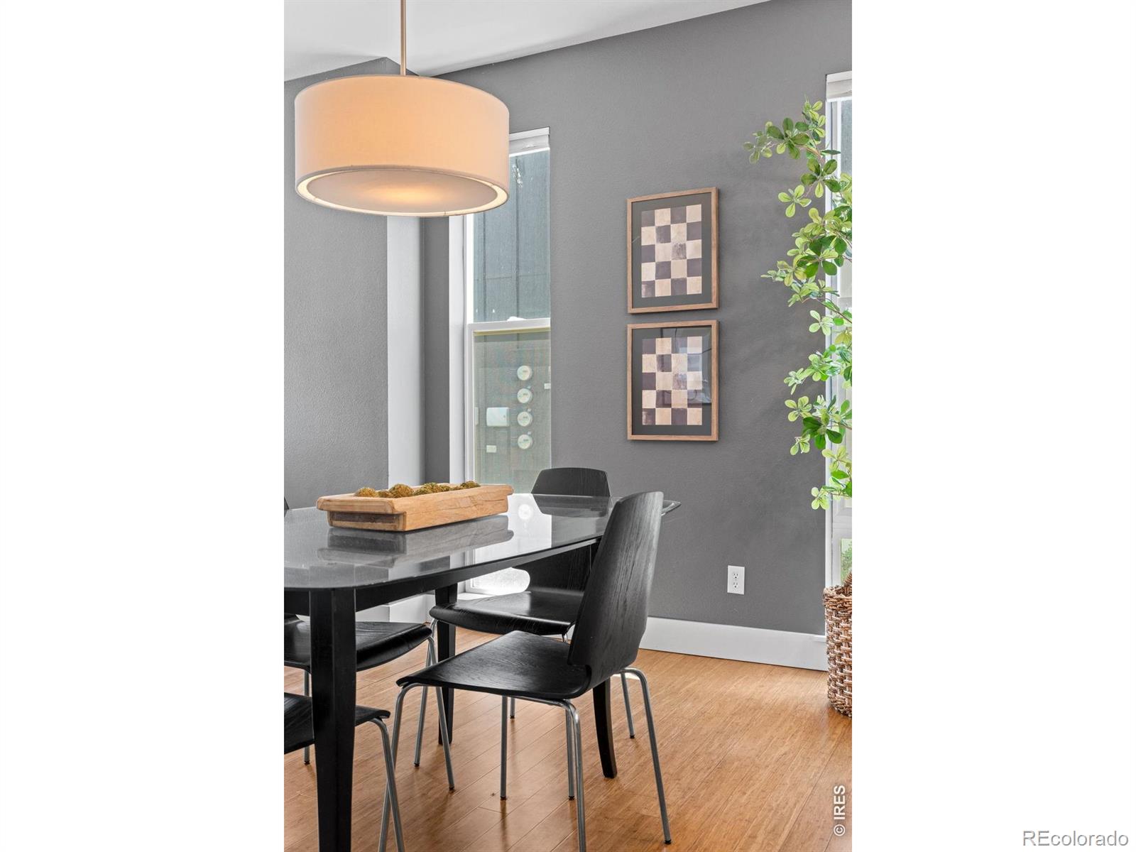 MLS Image #5 for 827  heschel street,fort collins, Colorado